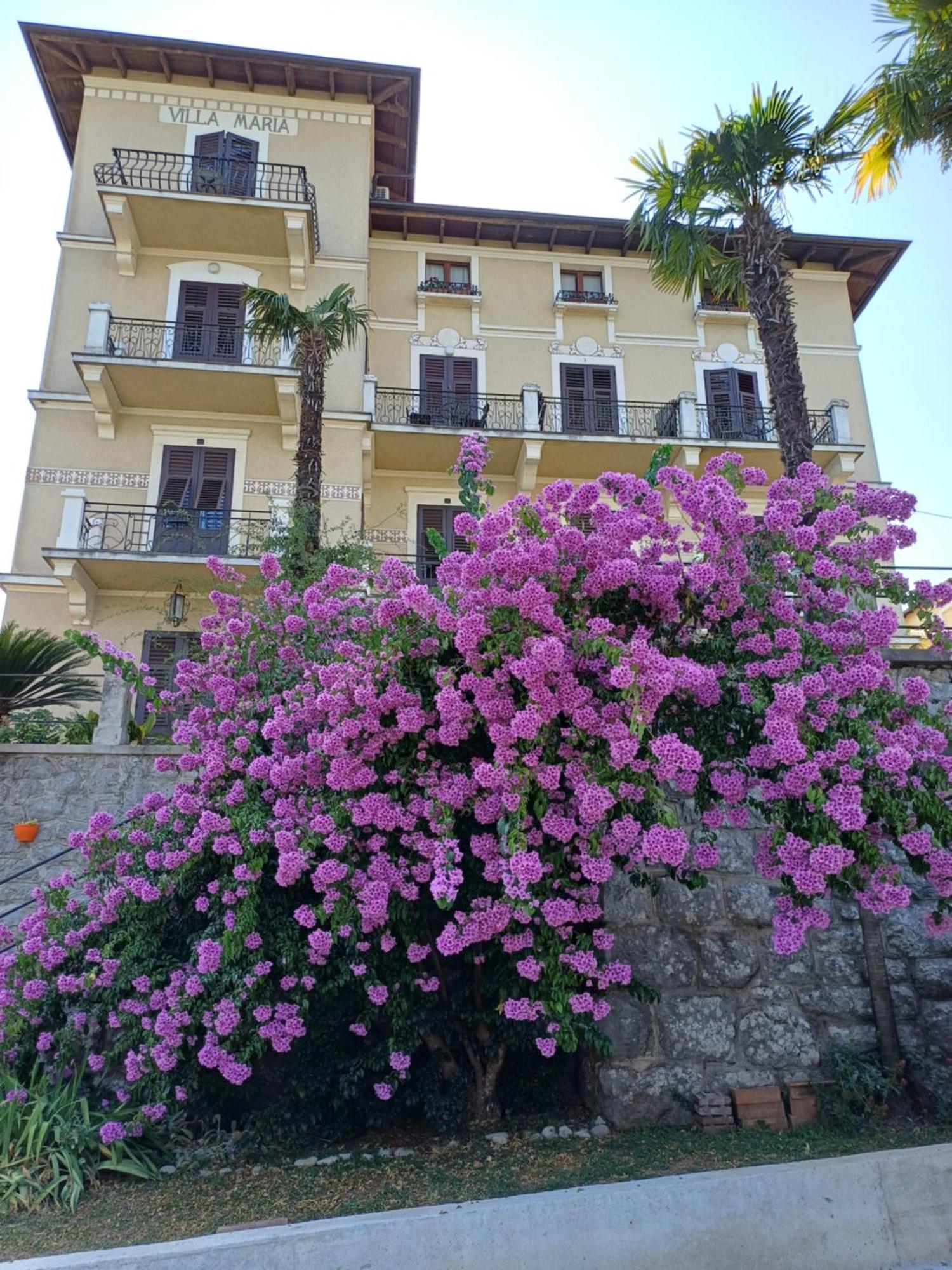 Villa Marija 洛夫兰 外观 照片